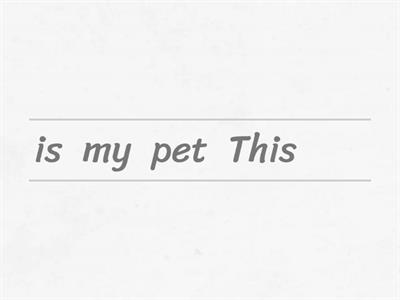 Mission 5: Describing my pet