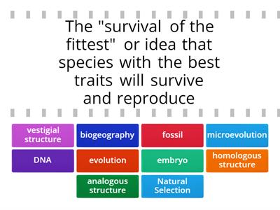 Evidence of Evolution Vocabulary