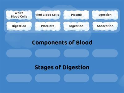 Is it a component of blood or a stage of digestion?