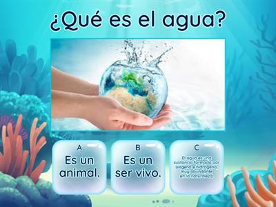 ¿Qué sabemos sobre el agua? 