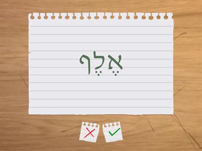 לומדים עברית #10 מורה חדוה