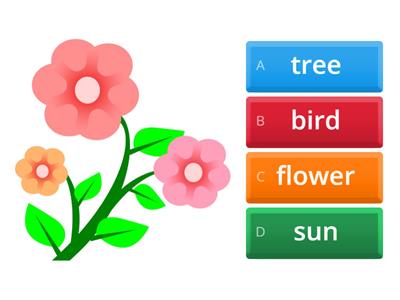 Spring vocabulary