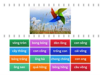 ong ông | Tiếng Việt 1 | Sách Chân Trời Sáng Tạo