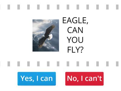    ANIMALS: YES I CAN/ NO I CAN`T