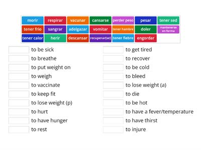 4A; Lifestyle - Verbs