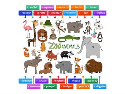 Zoo Animals Vocabulary
