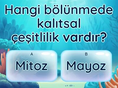 7. Sınıf Mitoz Mayoz Quiz Basit