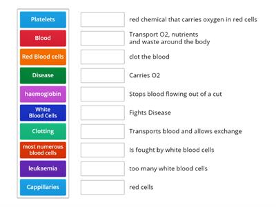 SP JC Match-Up Blood cells and functions