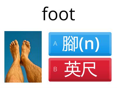 一字多義(中)