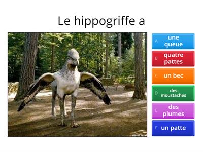 Les animaux pour décrire