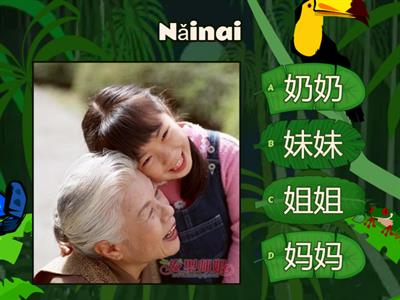 My Family 我的家人Wǒ de jiārén