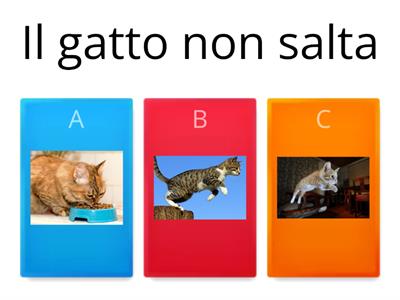 comprensione frasi negative - Logo Giotti A.