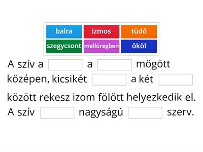 Hiányzó szó - szív elhelyezkedése