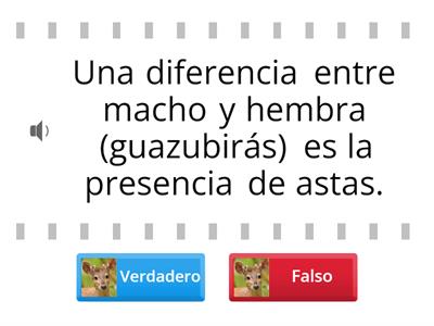 ¿Conoces las particularidades de GUAZUBIRÁ?