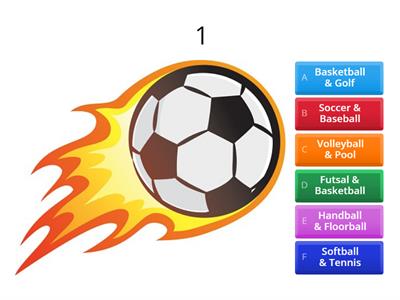 SEPAK BOLA