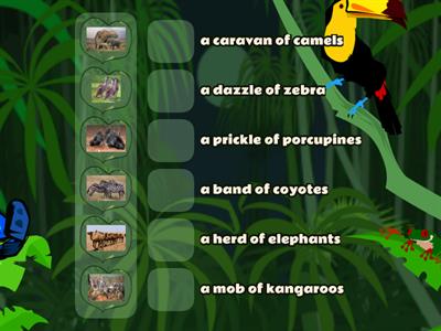 Game 80 Collective Nouns for wild animals 