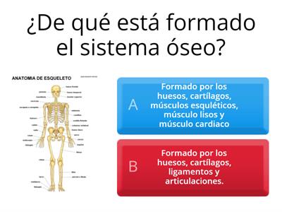 SISTEMAS DEL CUERPO HUMANO ANATOMÍA