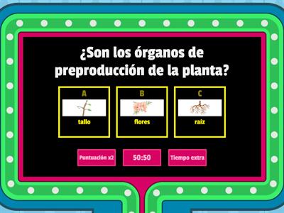 LAS PLANTAS