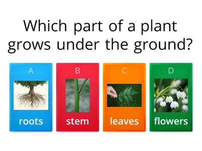Plants in their environment/plant parts