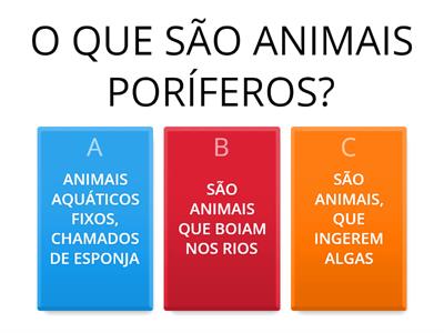 ANIMAIS PORÍFEROS 