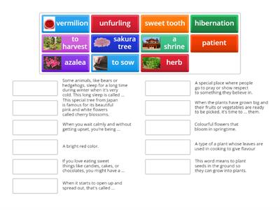 Seasons: Spring vocabulary game