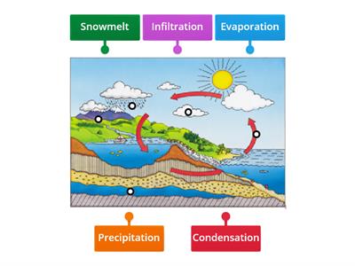  Water Cycle Diagram