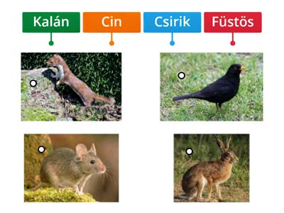 Vuk 3. részében szereplő állatok