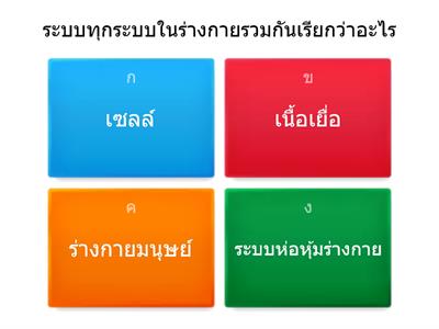 ระบบผิวหนัง