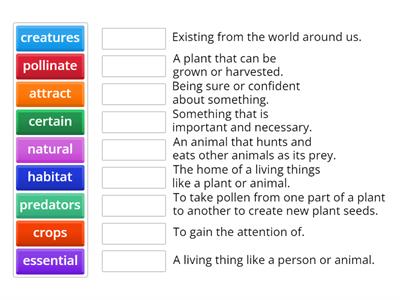 Insect Vocabulary