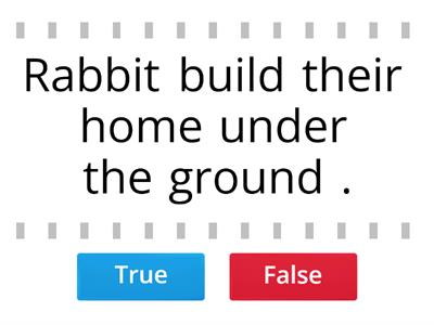 Rabbit home