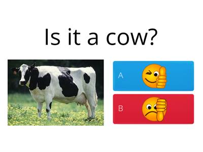 Quiz: Farm animals