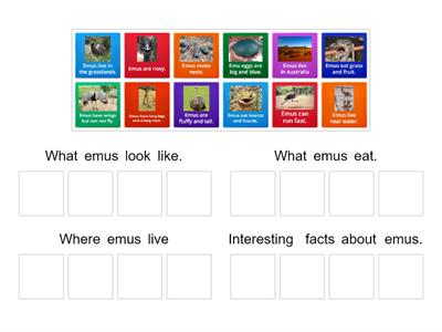 EAL Y2 All About Emus