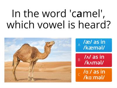 Vowels sounds - Animals.