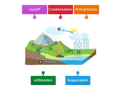 Water cycle