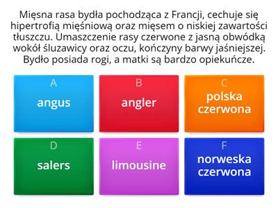 Dopasuj rasę do opisu rasy.