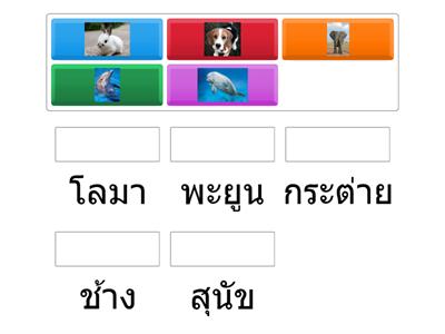 เกมจับคู่สัตว์