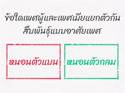 วิทย์ ป4 สัตว์ ตอนที่ 6