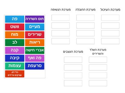 מערכות בגוף