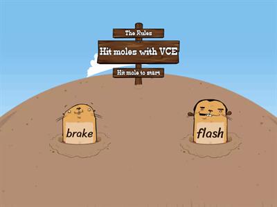 VCE Whack-a-mole