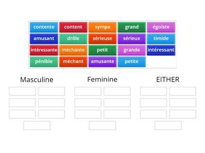 S3 French Masculine or Feminine or Either? French adjectives 