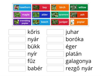 2_Tree species - matching