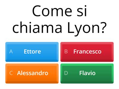Quiz Lyon 