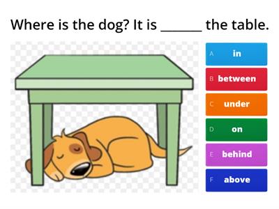Pet Prepositions: Saying WHERE Something Is