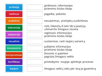 Socialiniai įgūdžiai ir karjera (kartojimas) 