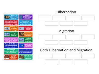 Hibernation or Migration Sort