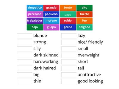 Adjectives- spanish