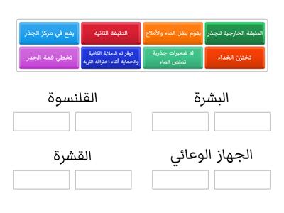 الصف الخامس - النباتات - أجزاء الجذور