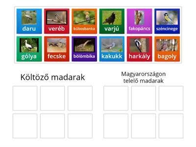 Költöző madarak-Magyarországon telelő madarak