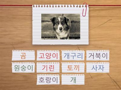 Animales Coreano