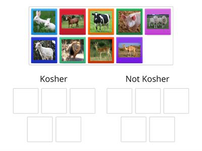 EYFS Kosher Animals